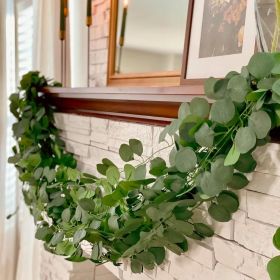 12 Pack 84Ft Eucalyptus Garland